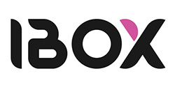 Ремонт GPS навигаторов Ibox в Нижнем Новгороде