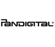 Ремонт электронных книг Pandigital в Нижнем Новгороде
